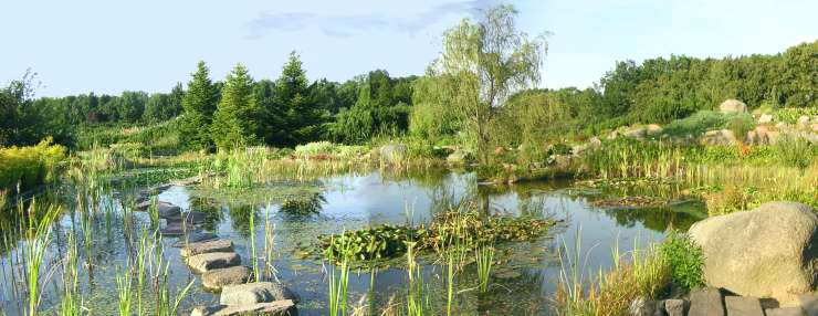 Letnia panorama na oczko wodne Ogrodu Botanicznego w Powsinie.
fot.A.Prażmowski